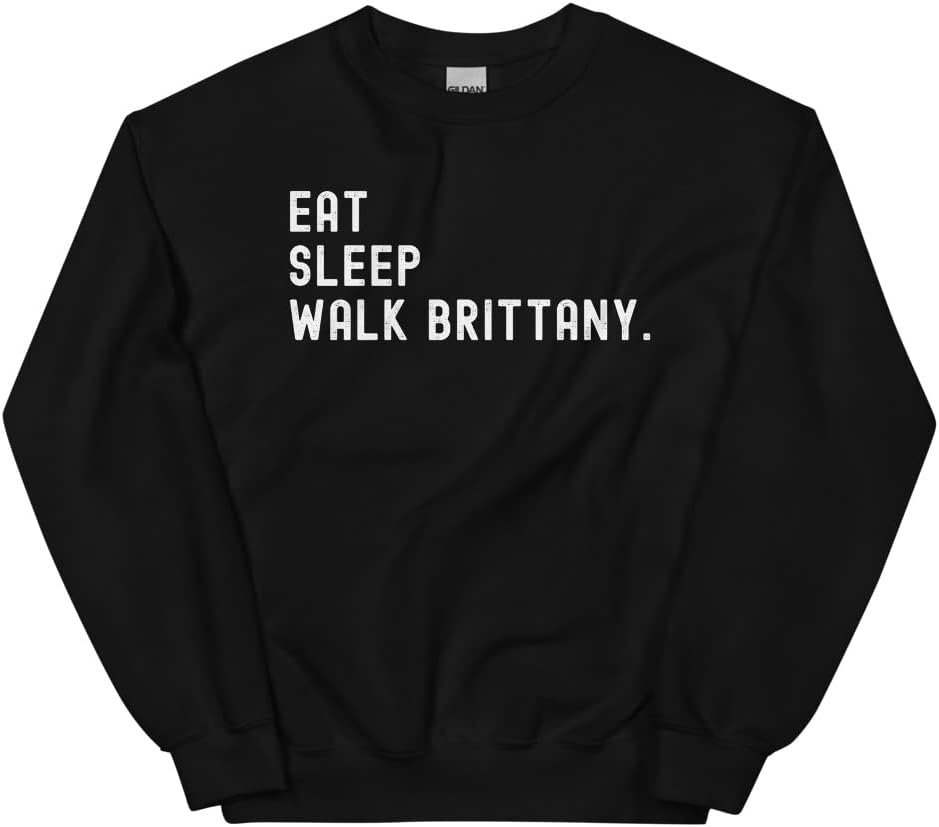 Eat Sleep Walk Brittany Dog Sweatshirt, Brittany Dog Owner, Brittany Dog Lover Gift - Black