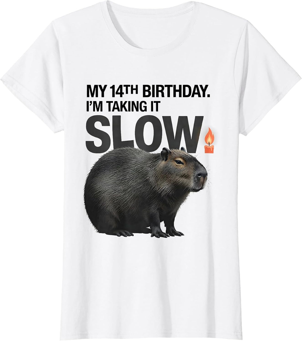 My 14th Birthday I'm Taking It Slow Kawaii Capybara Birthday T-Shirt - White