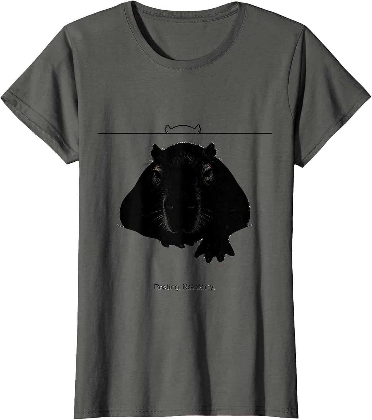 Women's Resting Not Sorry Cute Capybara Sleepybara Pajama T-Shirt - Asphalt Grey