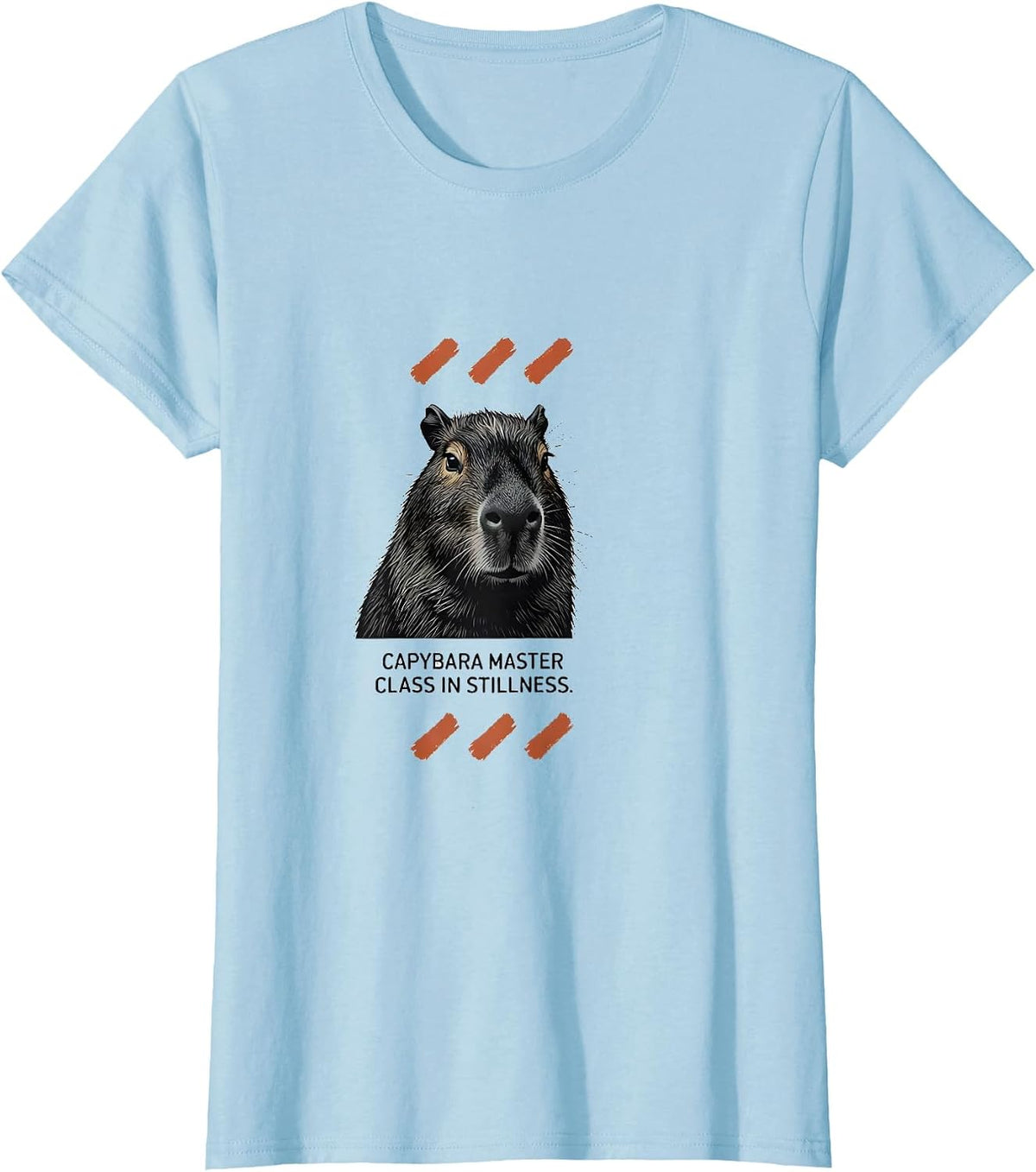 Capybara Master Class in Stillness Funny Animal Humor T-Shirt - Baby Blue