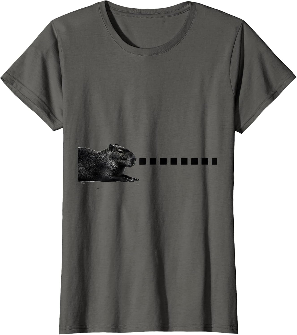 Women's Capybara Minimalist Funny Meme Gamer T-Shirt - Asphalt Grey