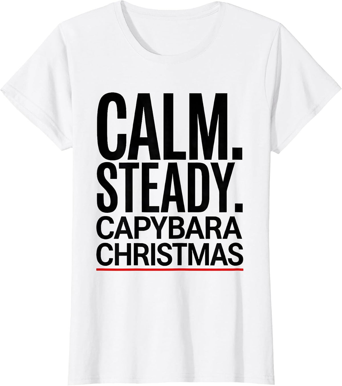 Calm Steady Capybara Christmas Cute Holiday Humor T-Shirt - White