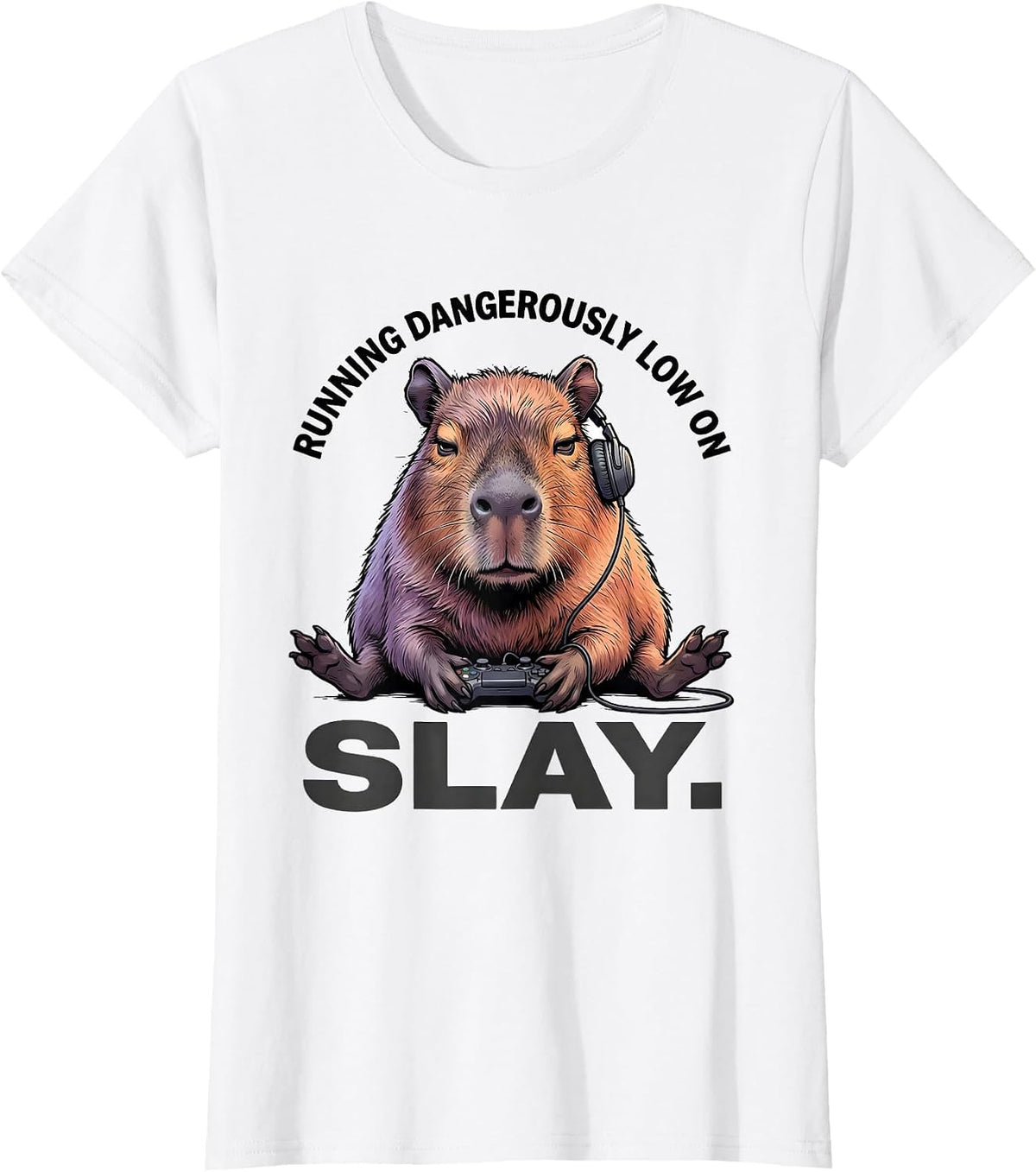 running dangerously low on slay Funny Capybara Gamer Meme T-Shirt - White