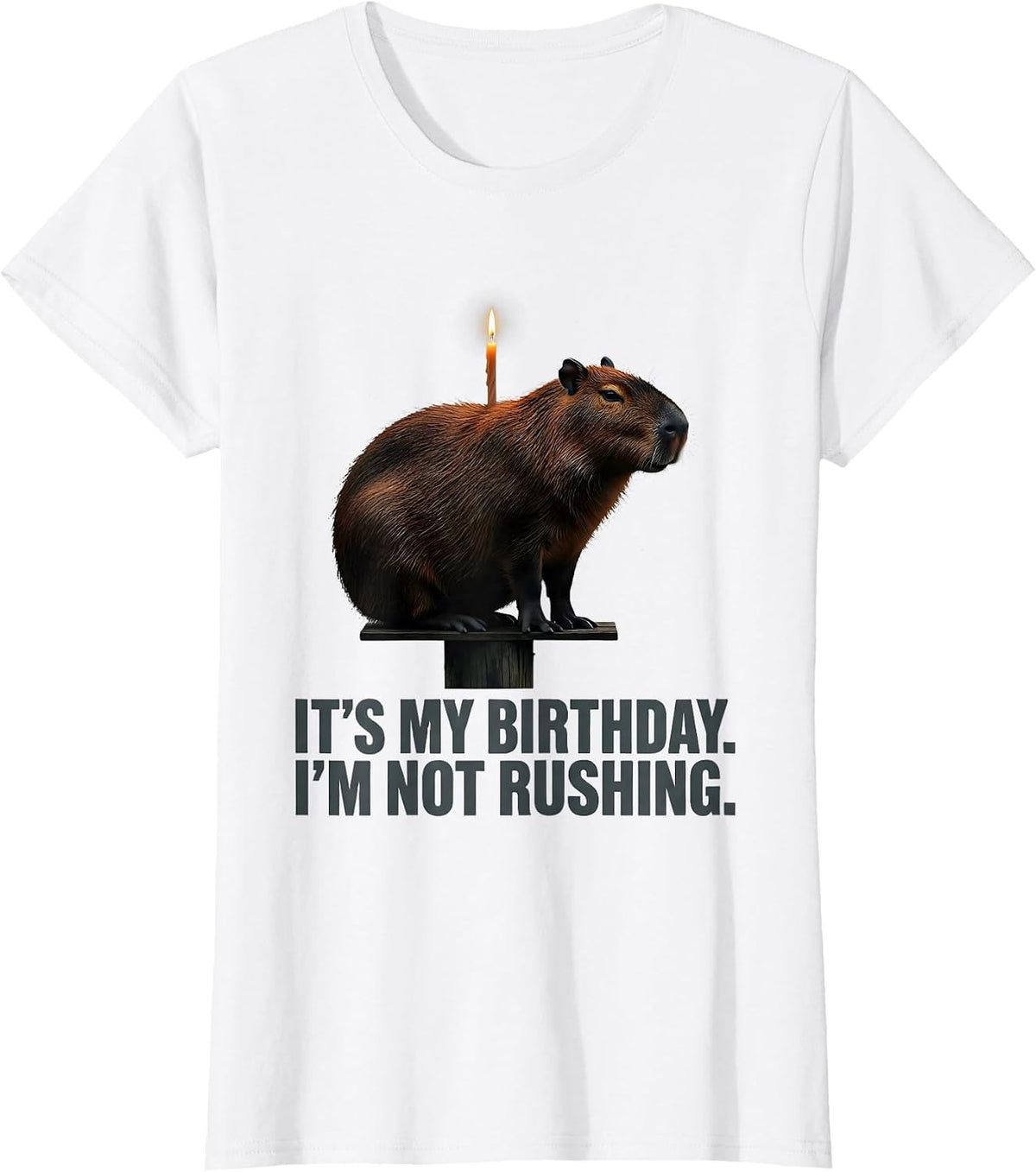 It's My Birthday. I'm Not Rushing Kawaii Capybara Birthday T-Shirt - White