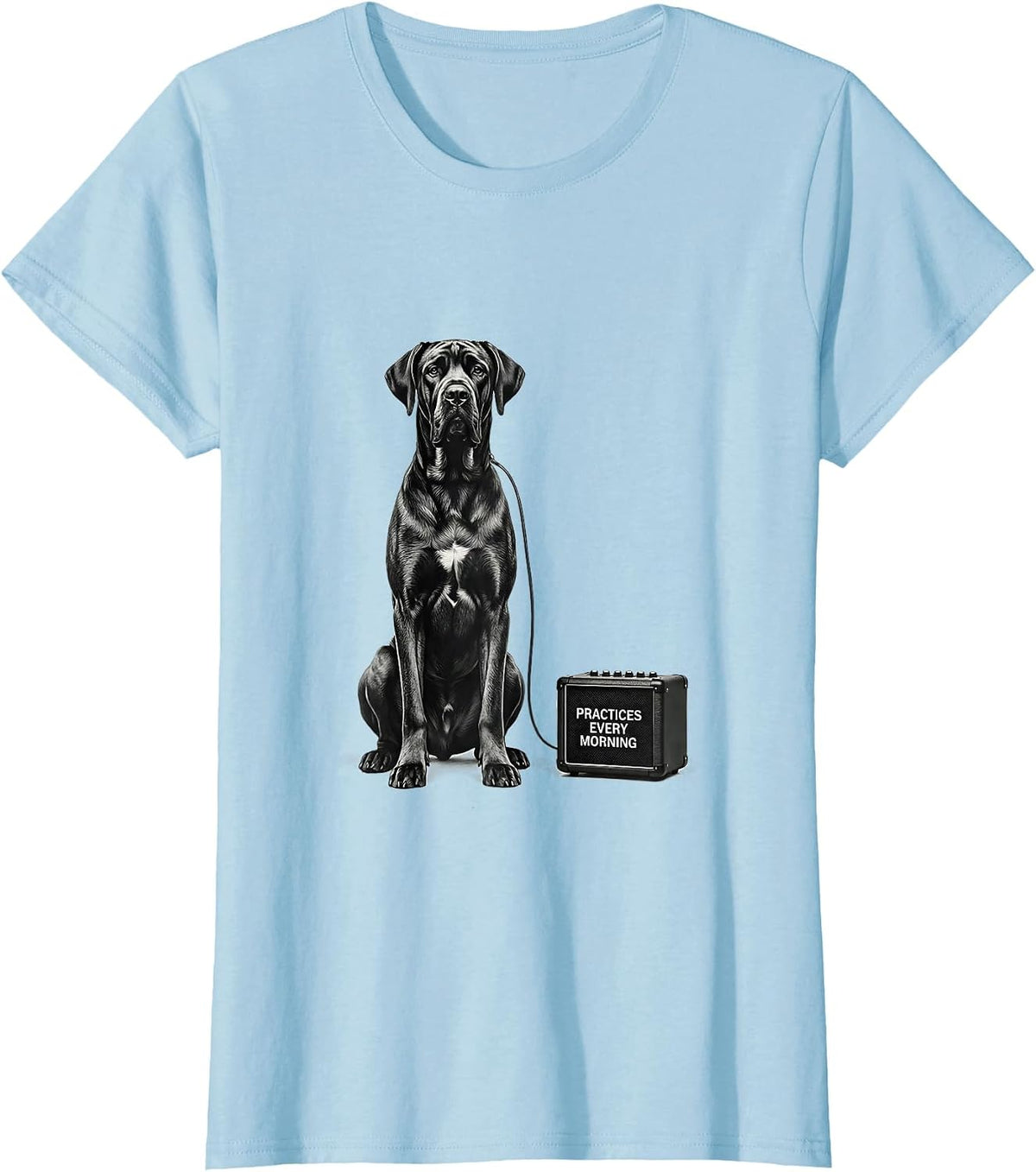 Women's Practices Every Morning Great Dane Rock Guitarist Dog Lover T-Shirt - Baby Blue