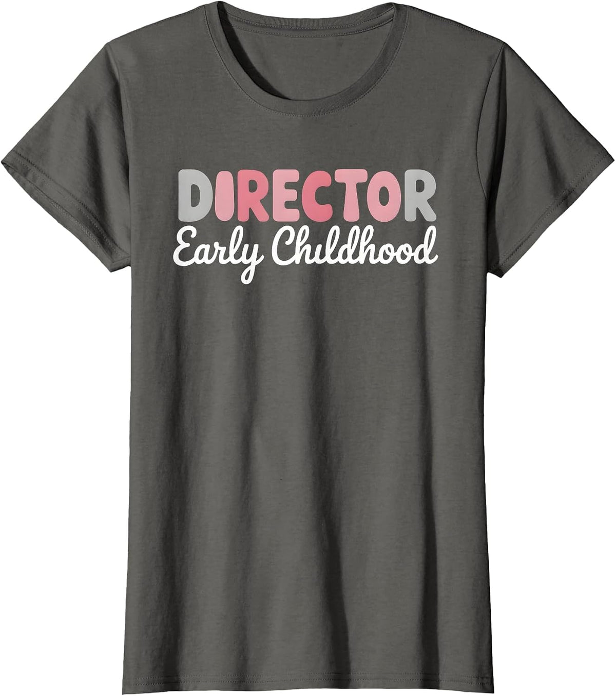 Preschool Director Early Childhood Educator Daycare Provider T-Shirt - Asphalt Grey