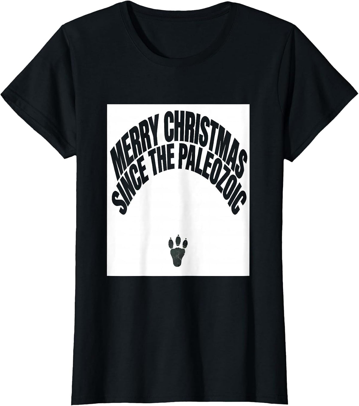 Women's Merry Christmas Since The Paleozoic Funny Dinosaur Lover T-Shirt - Black