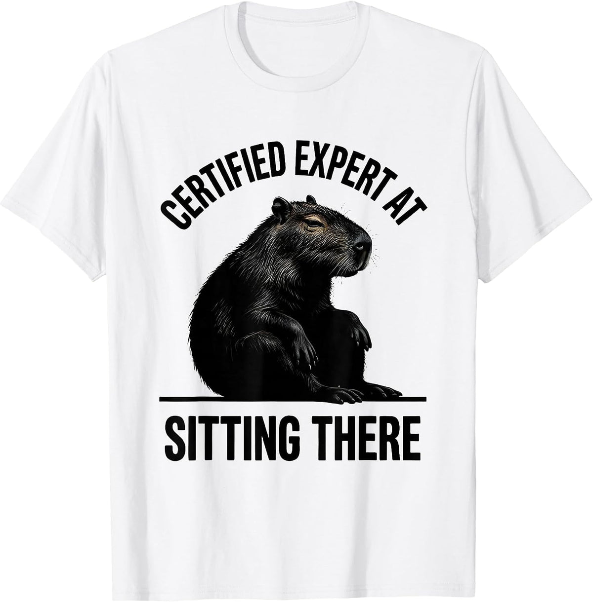 Men's Certified Expert At Sitting There Funny Capybara Animal Meme T-Shirt - White
