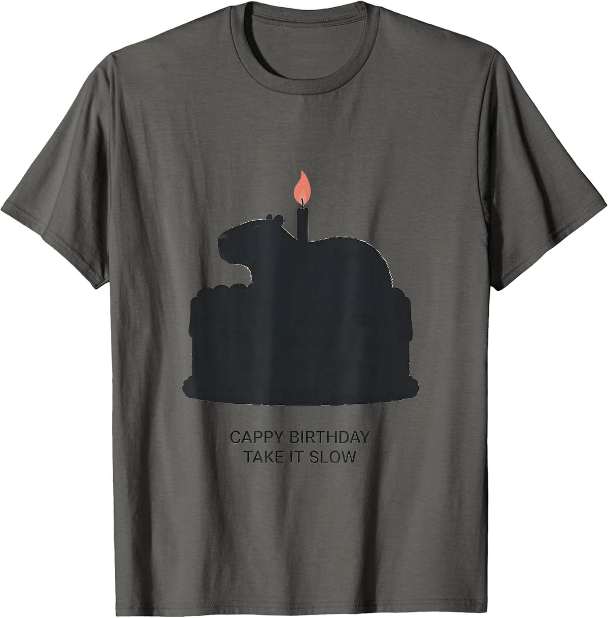 Cappy Birthday Take It Slow Cute Capybara Birthday Pun T-Shirt - Asphalt Grey