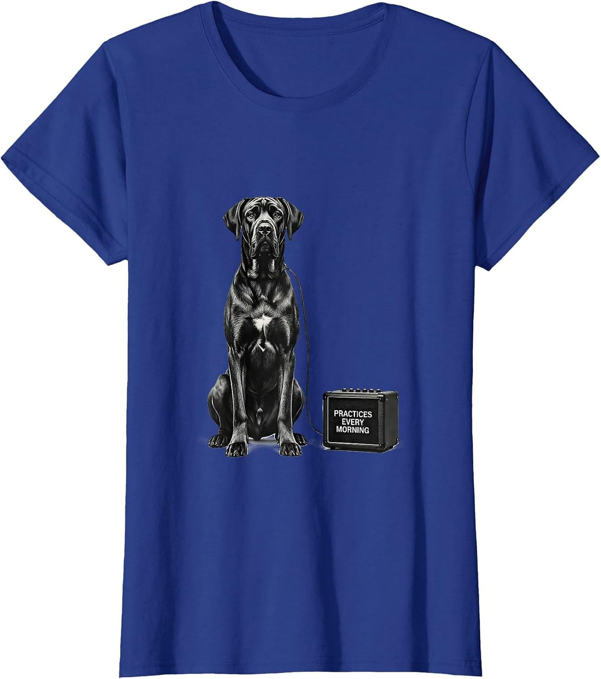 Women's Practices Every Morning Great Dane Rock Guitarist Dog Lover T-Shirt - Royal Blue