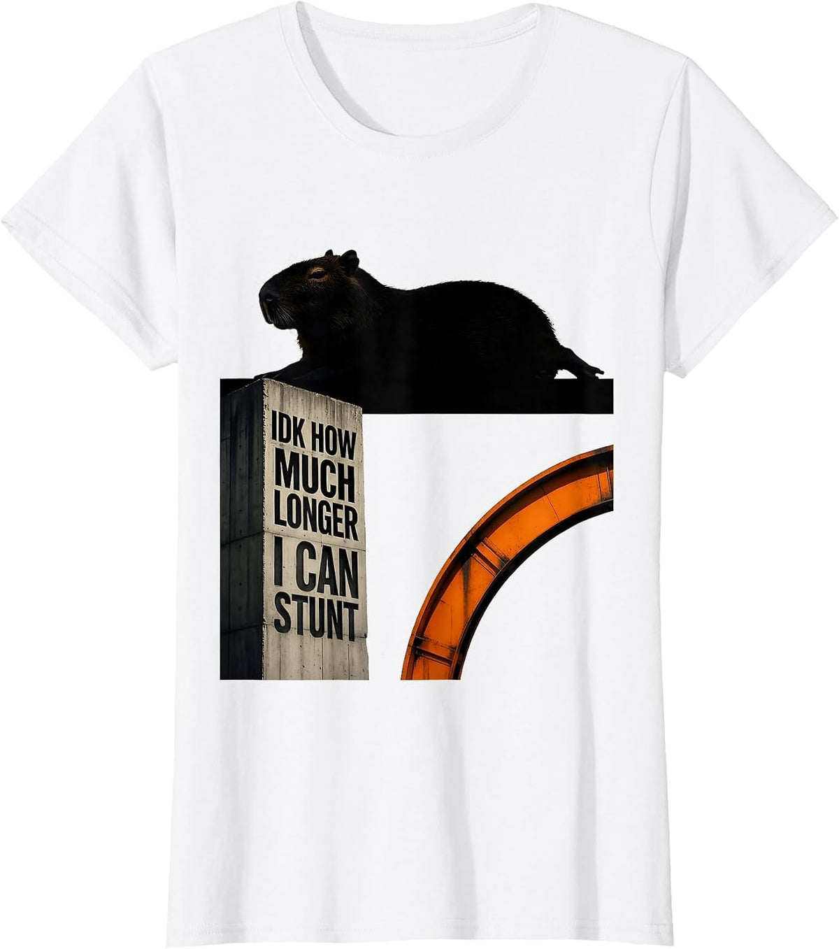 Idk How Much Longer I Can Stunt Funny Capybara Dank Meme T-Shirt - White