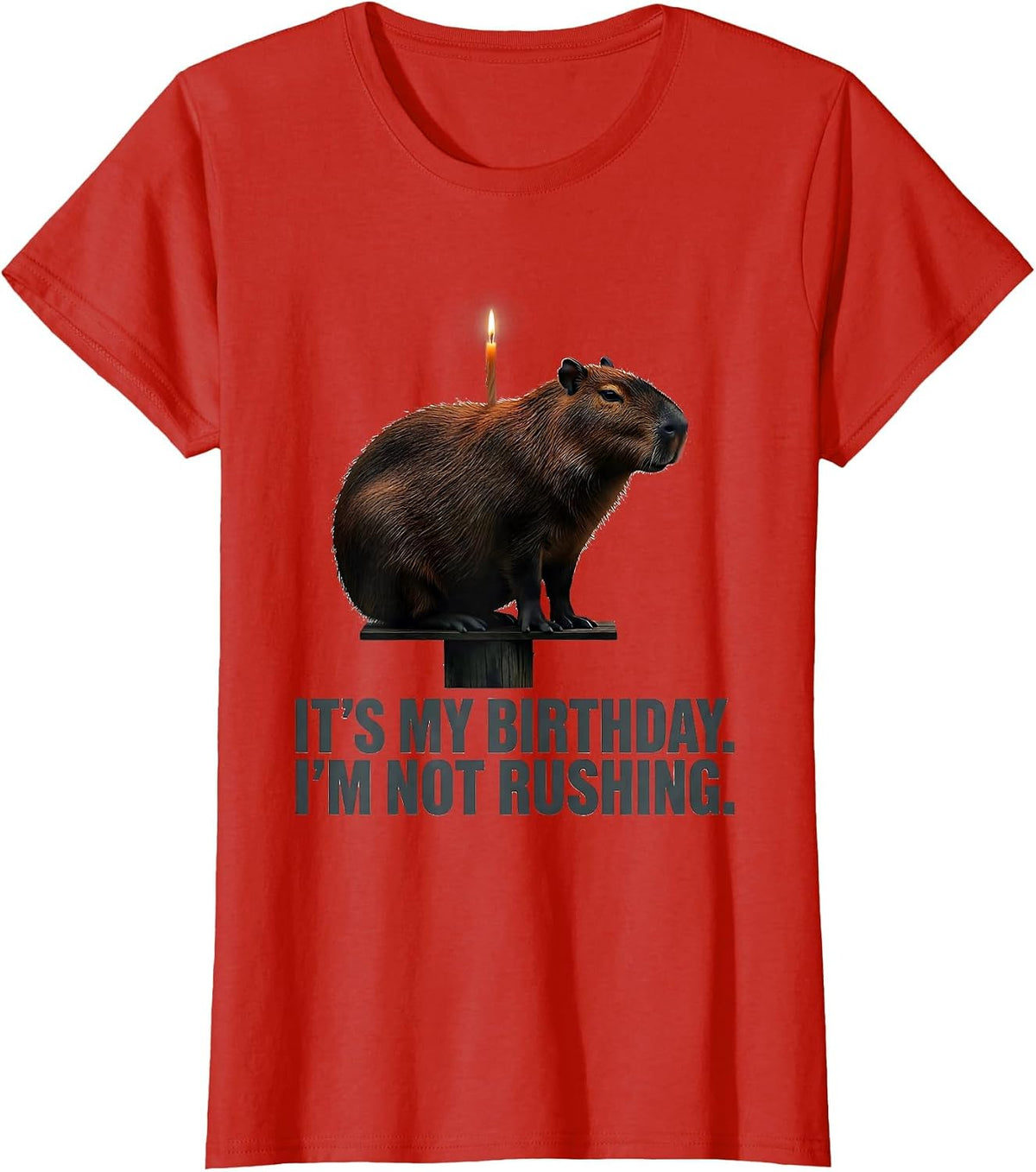 It's My Birthday. I'm Not Rushing Kawaii Capybara Birthday T-Shirt - Red