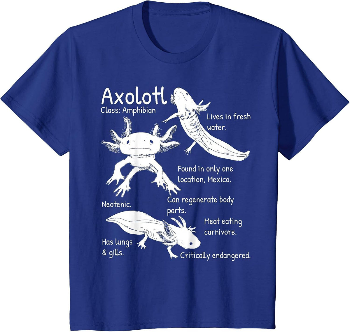 Axolotl Facts Species Types Endangered Animals Illustration T-Shirt - Royal Blue