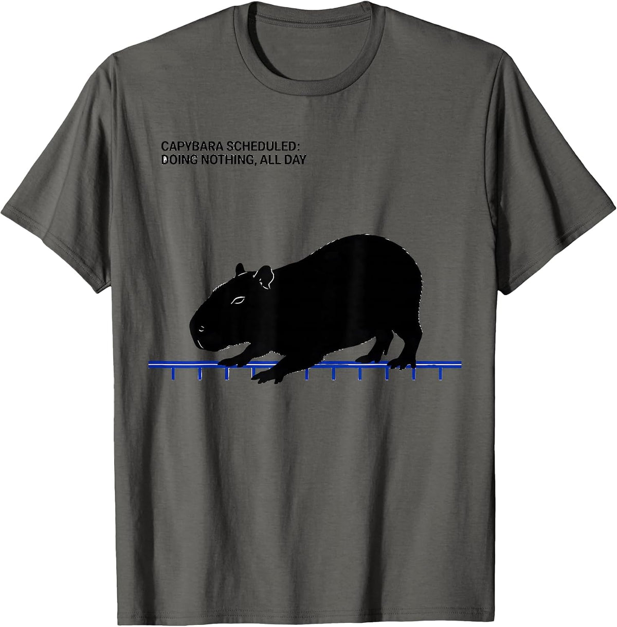 Capybara Scheduled: Doing Nothing, All Day Funny T-Shirt - Asphalt Grey