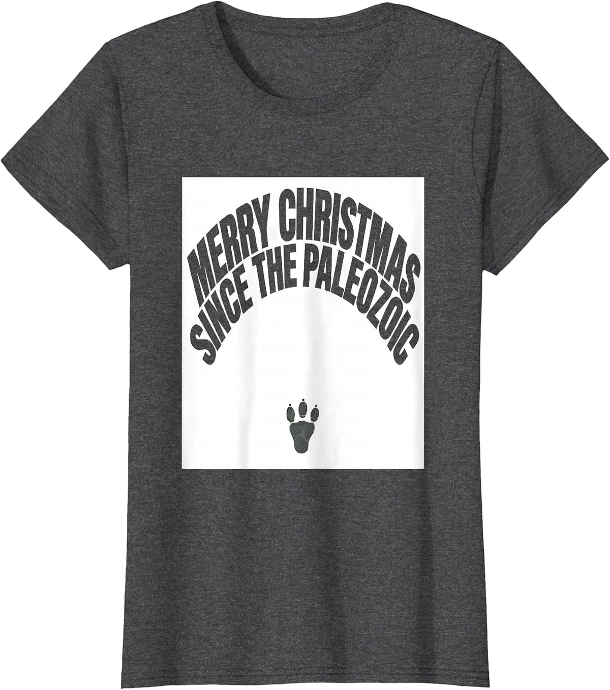 Women's Merry Christmas Since The Paleozoic Funny Dinosaur Lover T-Shirt - Dark Heather Grey