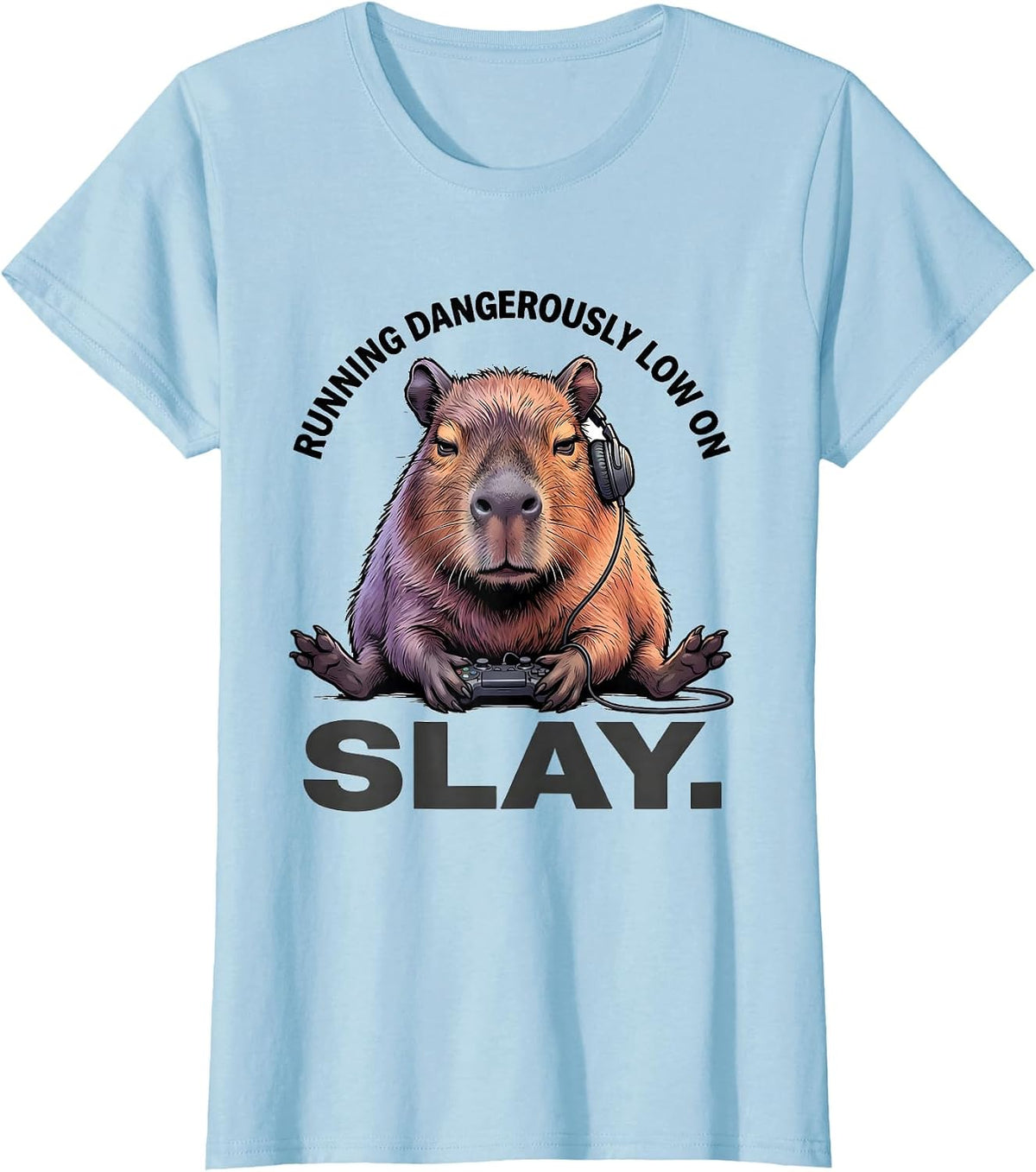 running dangerously low on slay Funny Capybara Gamer Meme T-Shirt - Baby Blue