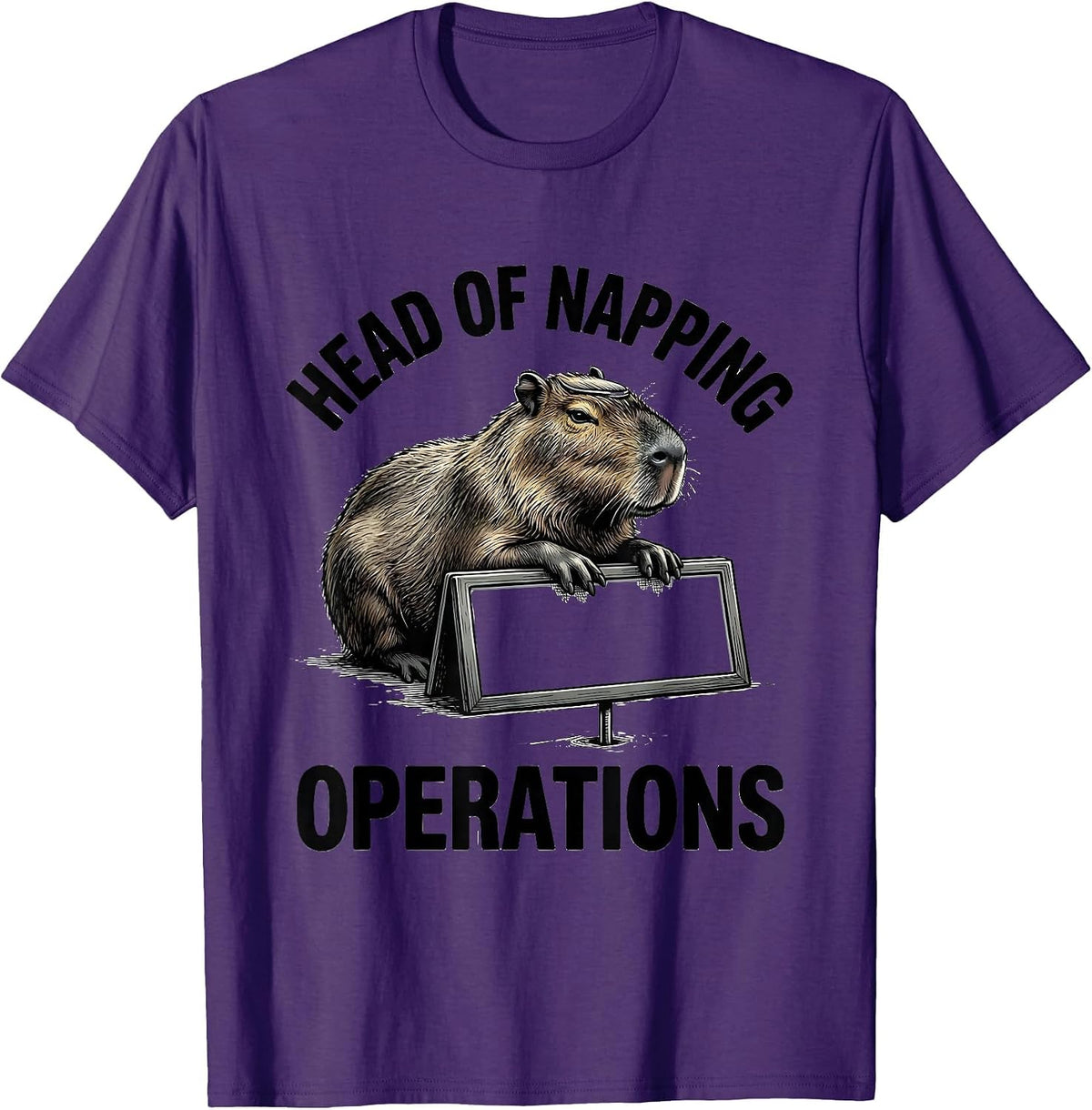 Head Of Napping Operations Funny Capybara Animal Meme Humor T-Shirt - Purple
