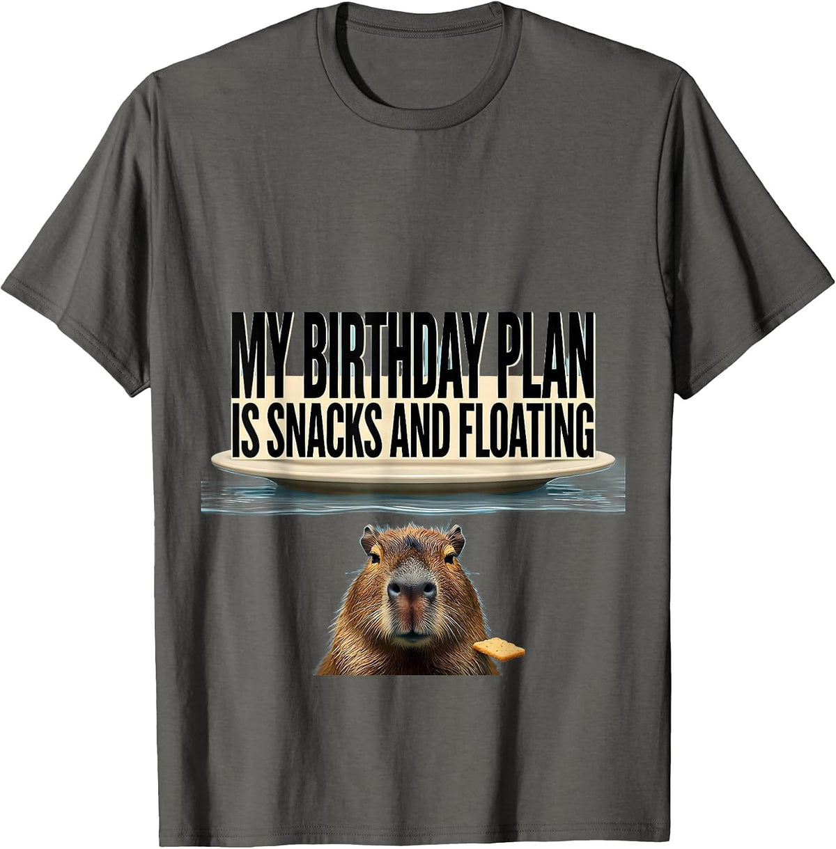 Men's My Birthday Plan Is Snacks And Floating Capybara Humor T-Shirt - Asphalt Grey