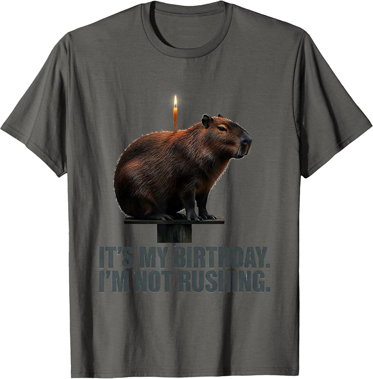 It's My Birthday. I'm Not Rushing Kawaii Capybara Birthday T-Shirt - Asphalt Grey