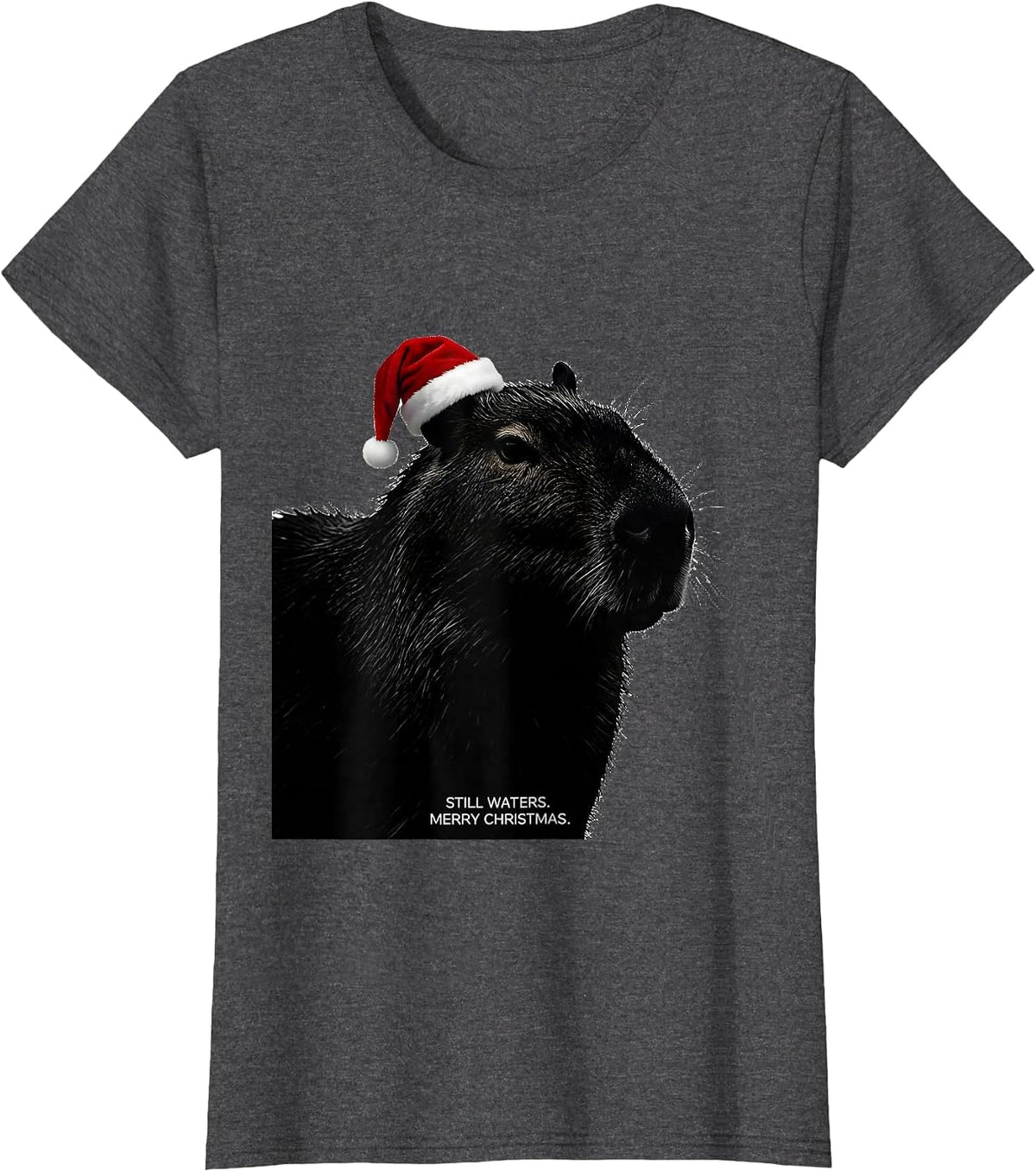 Women's Still Waters Merry Christmas Cute Capybara Santa Hat Family T-Shirt - Dark Heather Grey