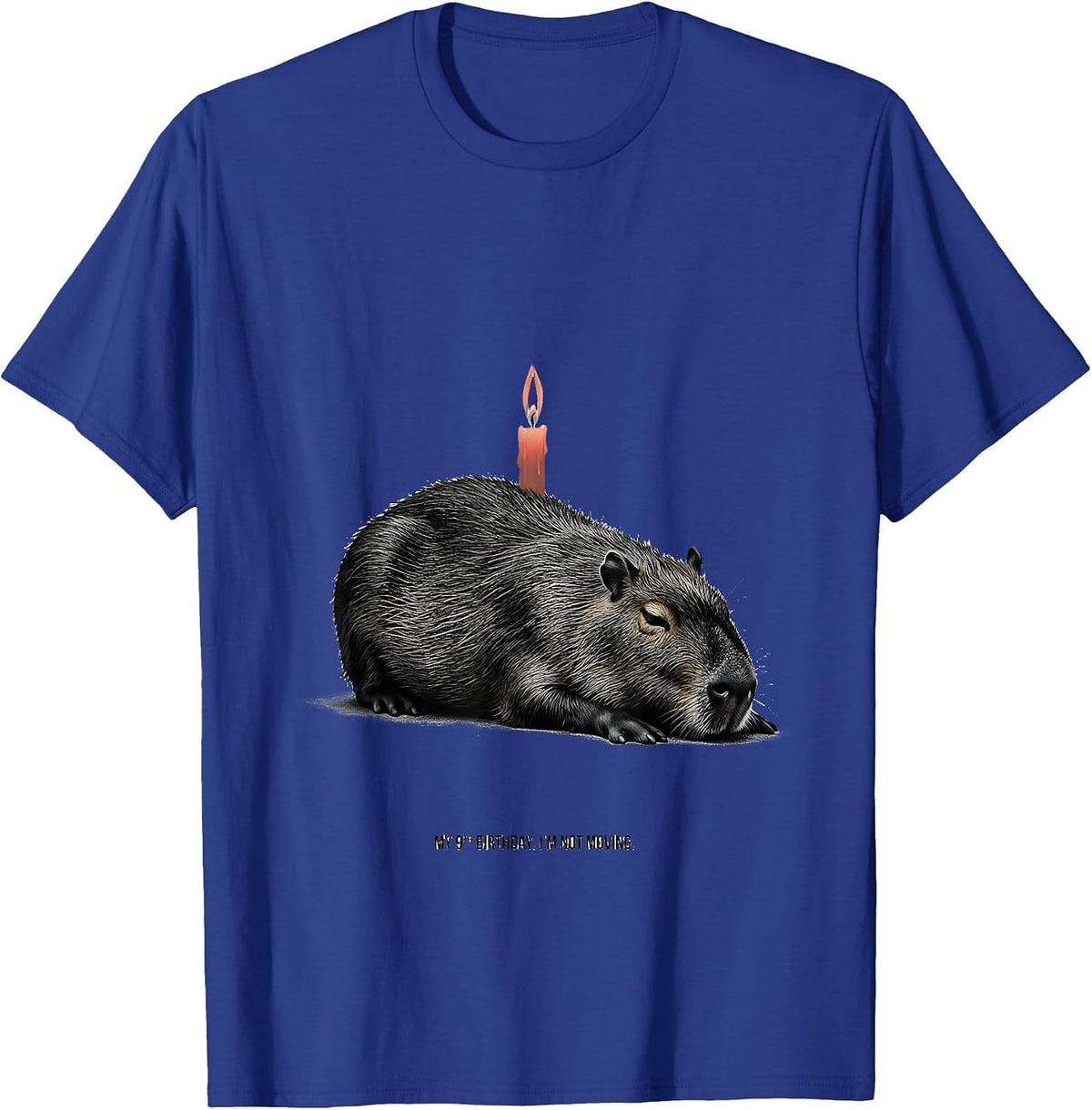 My 9th Birthday I'm Not Moving Funny Capybara Birthday Gift T-Shirt - Royal Blue