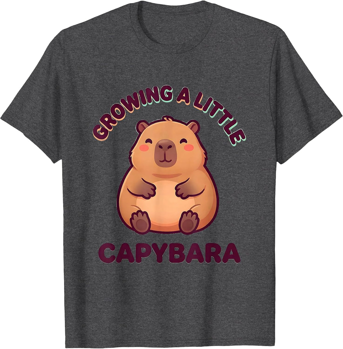 Growing A Little Capybara Cute Kawaii Pregnancy Announcement T-Shirt - Dark Heather Grey