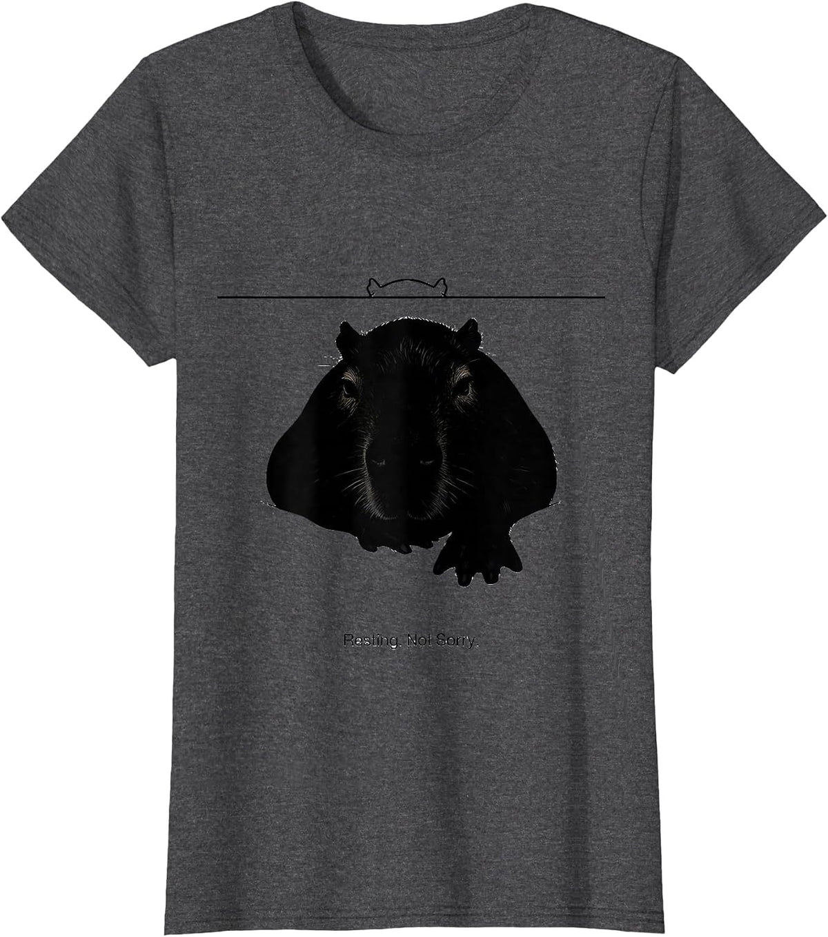 Women's Resting Not Sorry Cute Capybara Sleepybara Pajama T-Shirt - Dark Heather Grey