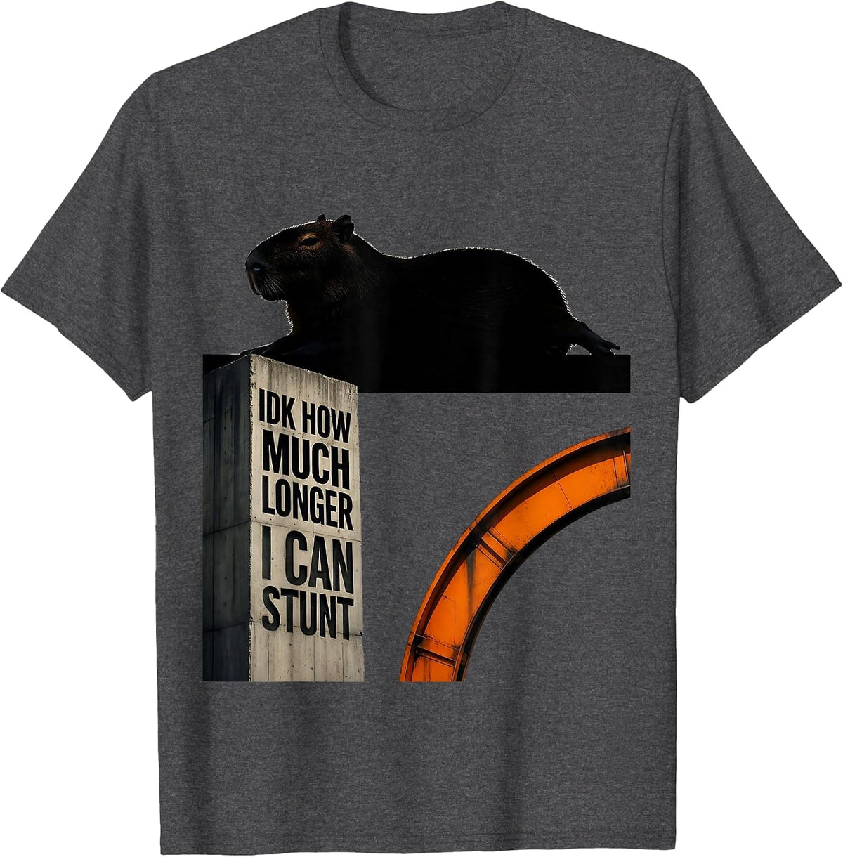 Idk How Much Longer I Can Stunt Funny Capybara Dank Meme T-Shirt - Dark Heather Grey