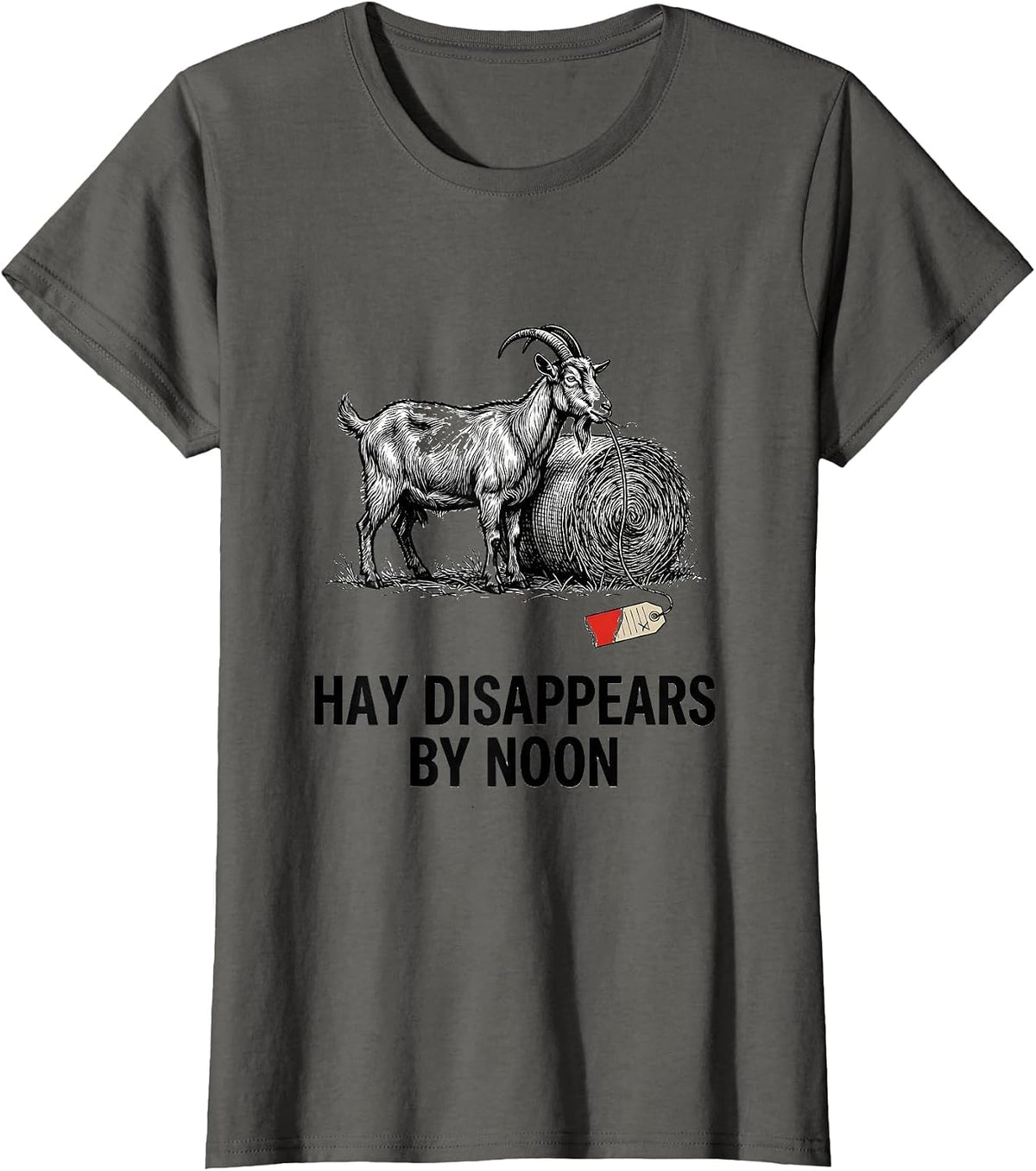 Women's Hay Disappears By Noon Funny Goat Owner Farmer Gift T-Shirt - Asphalt Grey
