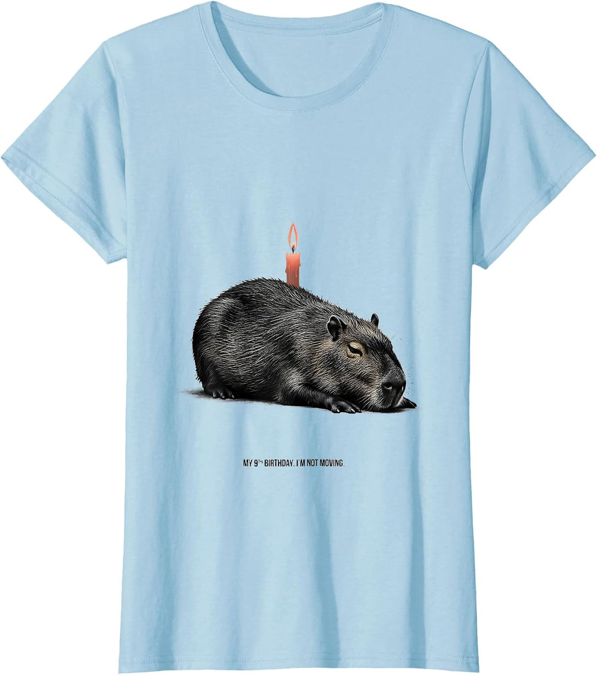 My 9th Birthday I'm Not Moving Funny Capybara Birthday Gift T-Shirt - Baby Blue