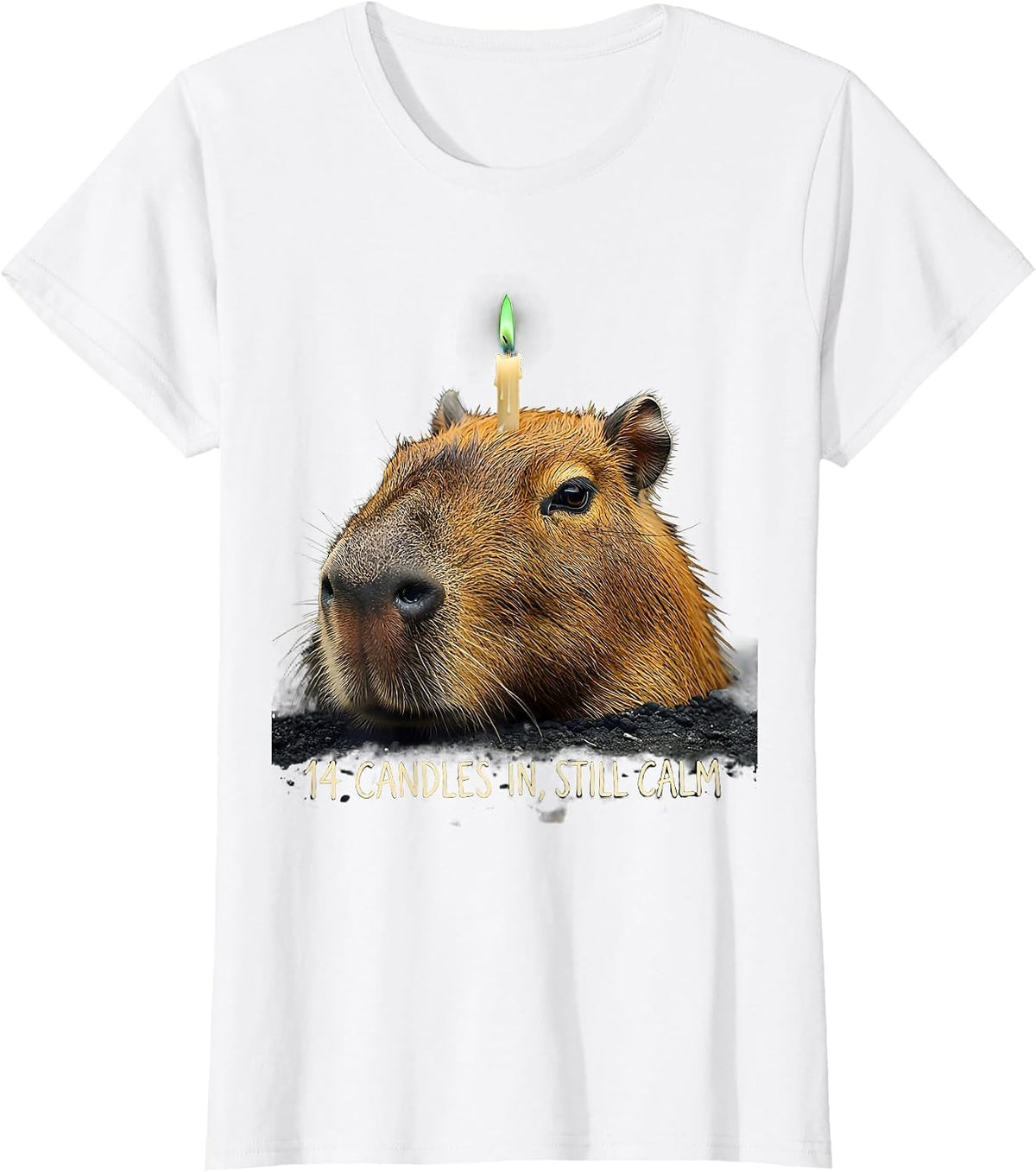 14 Candles In, Still Calm Funny Capybara Birthday Meme Gift T-Shirt - White