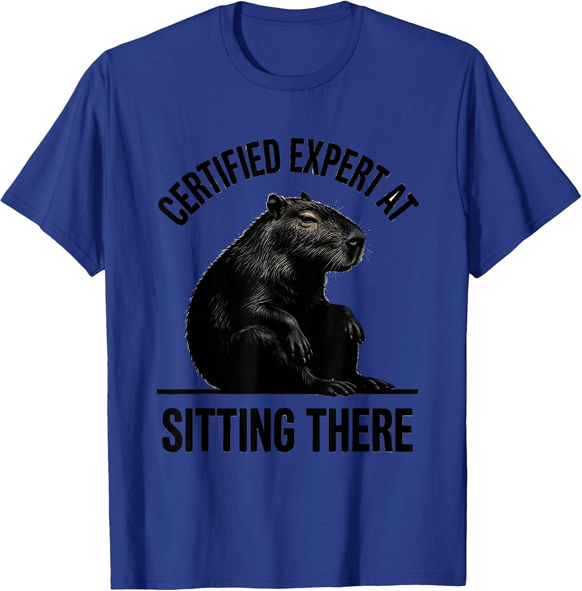 Men's Certified Expert At Sitting There Funny Capybara Animal Meme T-Shirt - Royal Blue