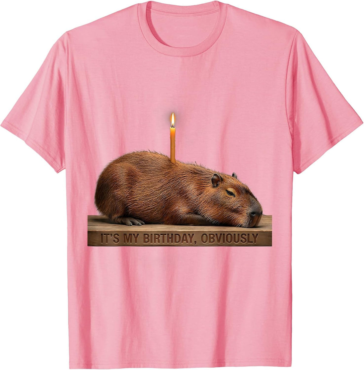 Men's It's My Birthday, Obviously Kawaii Capybara Birthday To Me T-Shirt - Pink