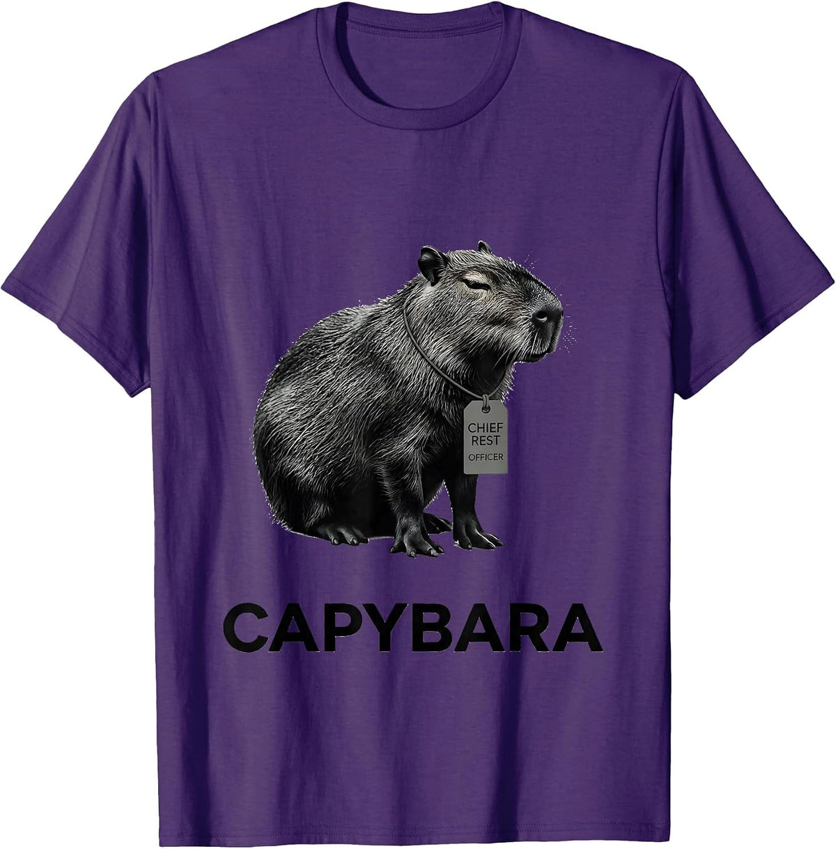 Capybara, Chief Rest Officer Funny Gamer Meme Humor T-Shirt - Purple