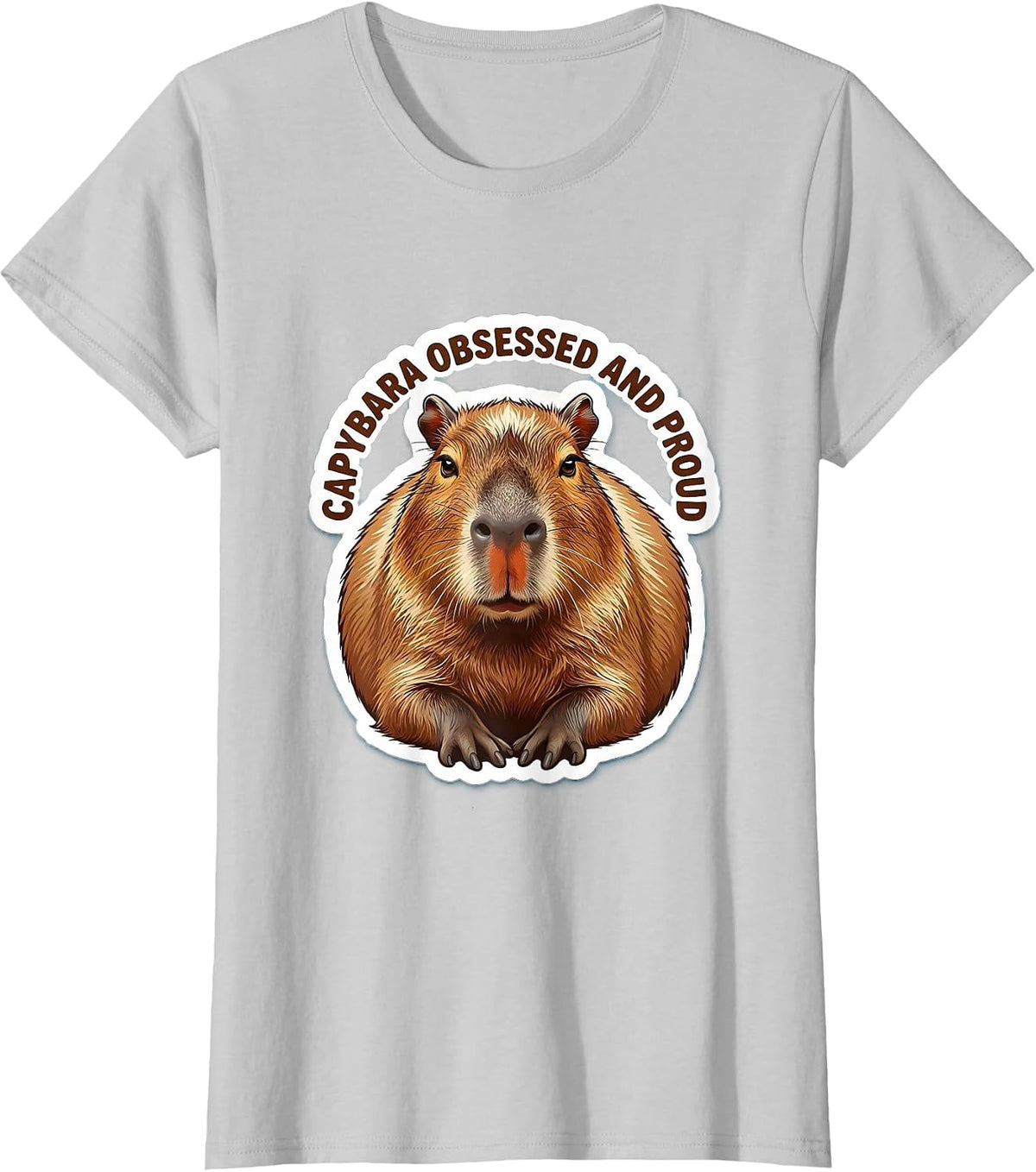Capybara Obsessed And Proud Funny Animal Meme Gamer Gift T-Shirt - Silver Grey