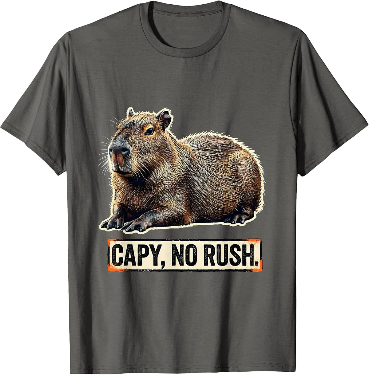 Capy, No Rush Stencil Graphic Funny Capybara Animal Lover T-Shirt - Asphalt Grey