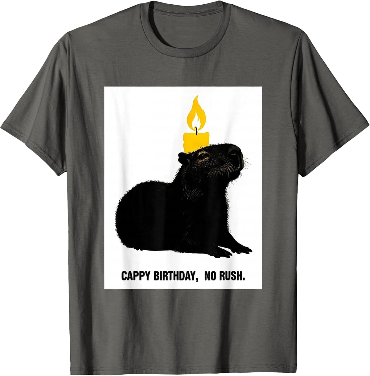 Men's Cappy Birthday No Rush Cute Capybara Birthday Gift T-Shirt - Asphalt Grey