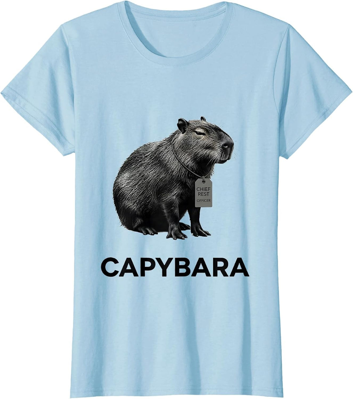 Capybara, Chief Rest Officer Funny Gamer Meme Humor T-Shirt - Baby Blue