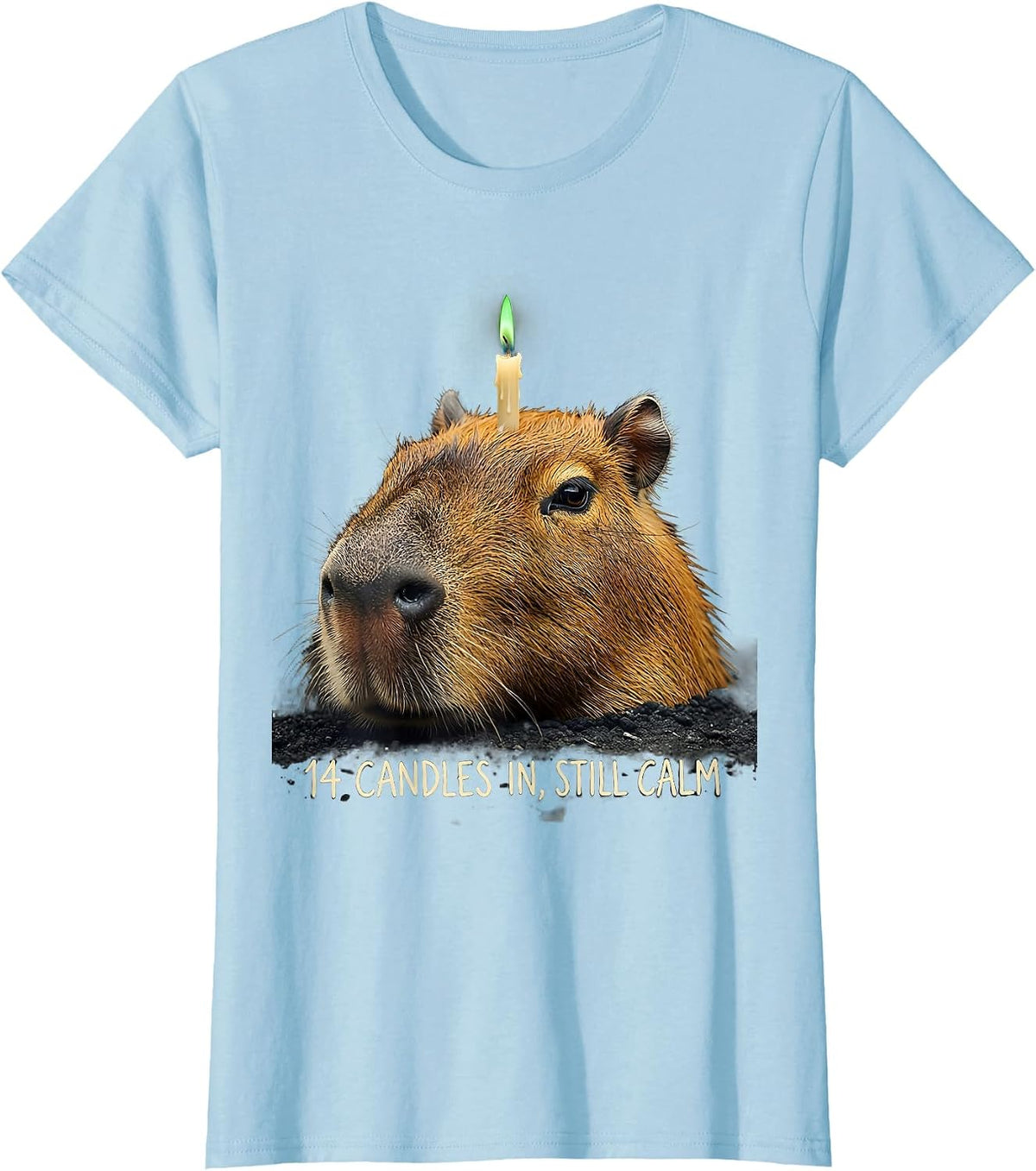 14 Candles In, Still Calm Funny Capybara Birthday Meme Gift T-Shirt - Baby Blue
