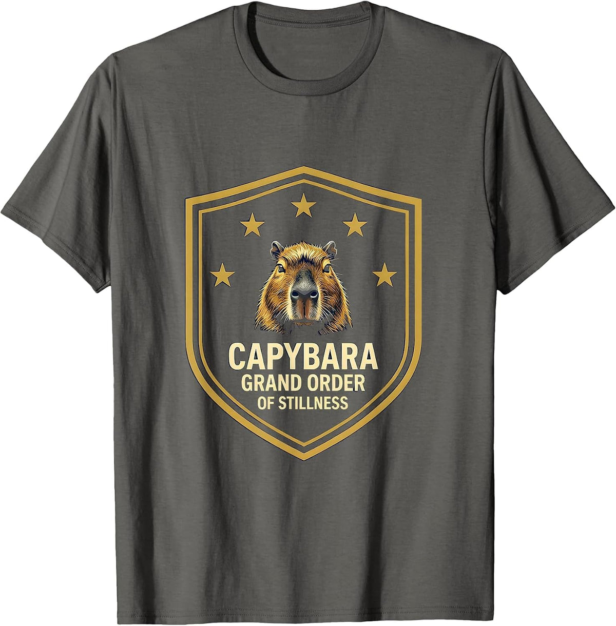 Capybara Grand Order of Stillness Funny Animal Meme Youth T-Shirt - Asphalt Grey