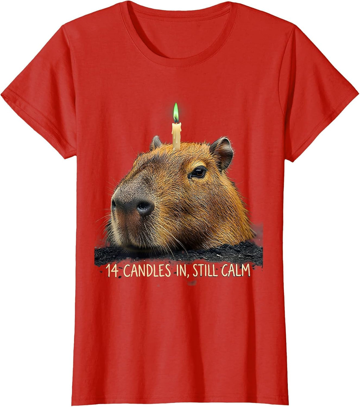 14 Candles In, Still Calm Funny Capybara Birthday Meme Gift T-Shirt - Red