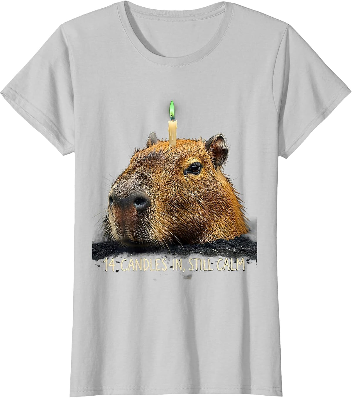 14 Candles In, Still Calm Funny Capybara Birthday Meme Gift T-Shirt - Silver Grey