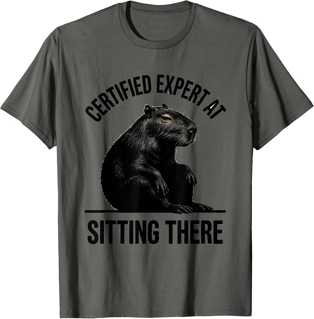 Men's Certified Expert At Sitting There Funny Capybara Animal Meme T-Shirt - Asphalt Grey