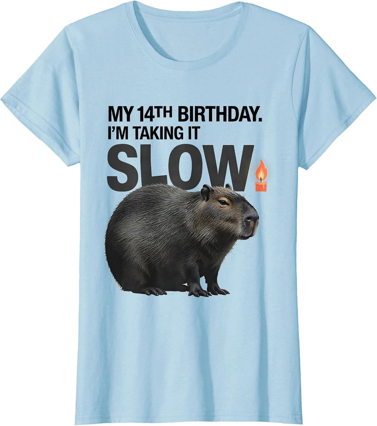 My 14th Birthday I'm Taking It Slow Kawaii Capybara Birthday T-Shirt - Baby Blue