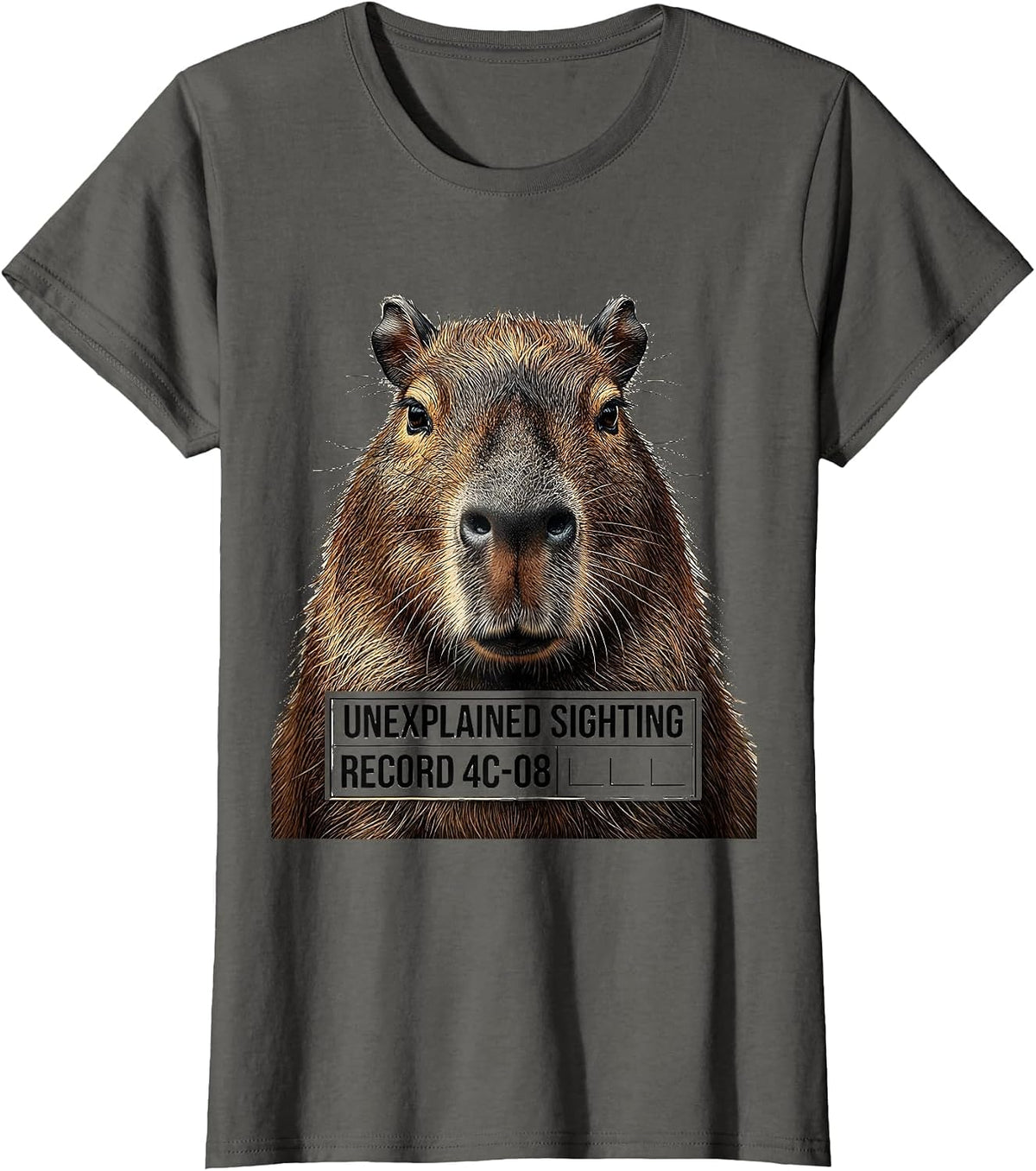 Women's Unexplained Sighting Record 4C-08 Funny Capybara Meme Gamer T-Shirt - Asphalt Grey