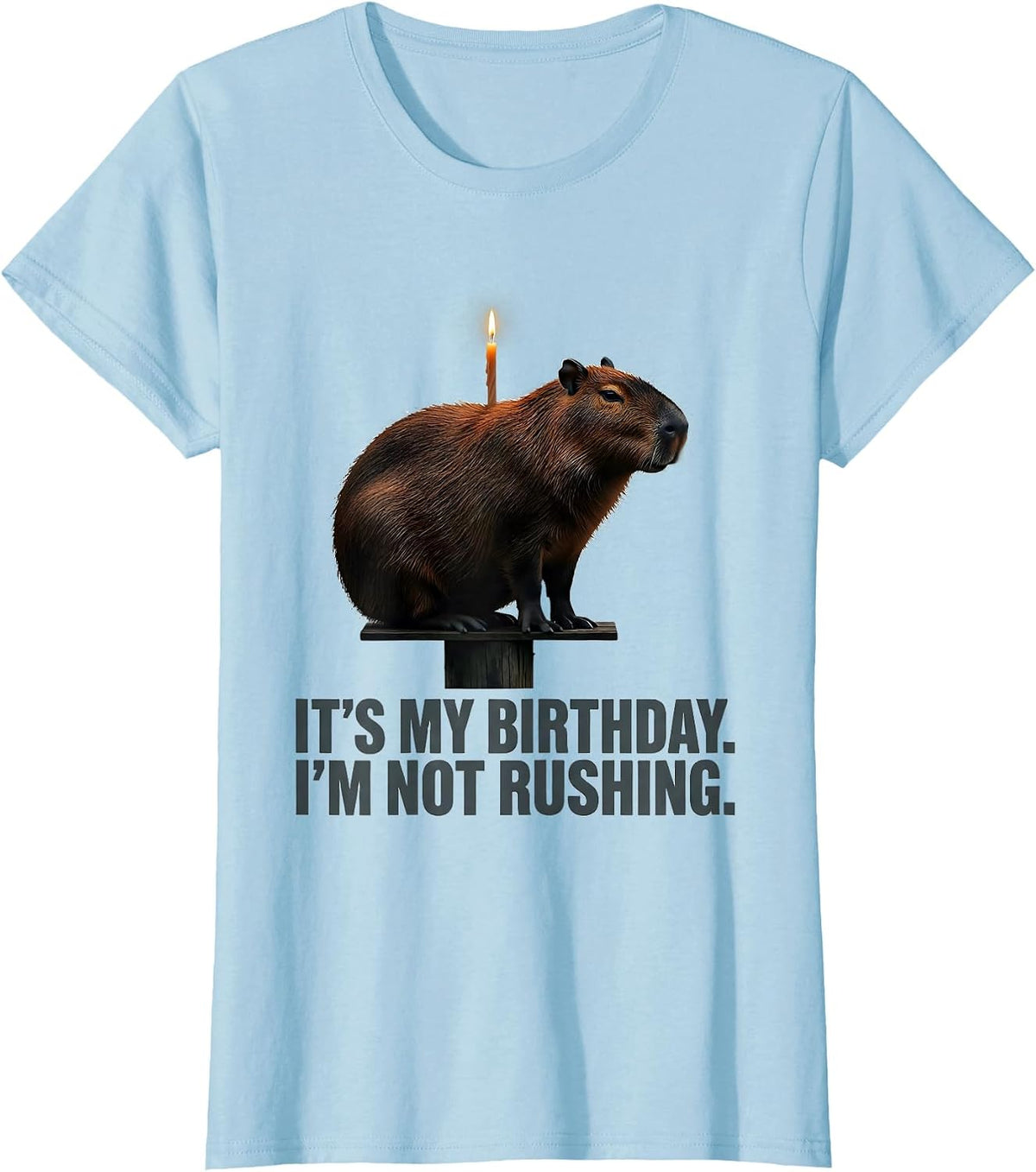 It's My Birthday. I'm Not Rushing Kawaii Capybara Birthday T-Shirt - Baby Blue
