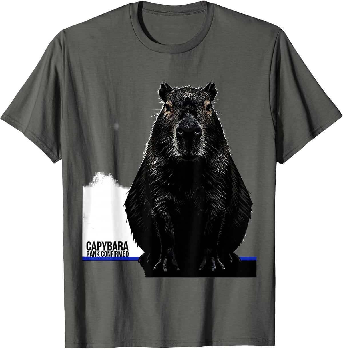 Capybara, Rank Confirmed Funny Animal Lover Meme Humor T-Shirt - Asphalt Grey