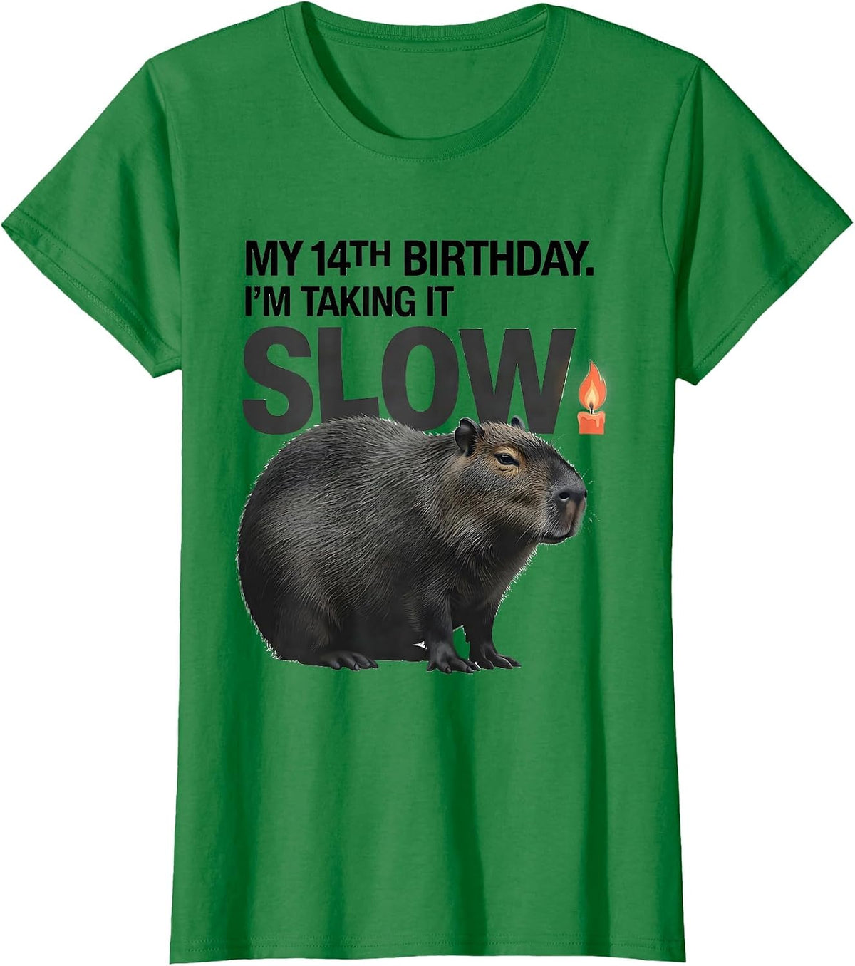 My 14th Birthday I'm Taking It Slow Kawaii Capybara Birthday T-Shirt - Kelly Green