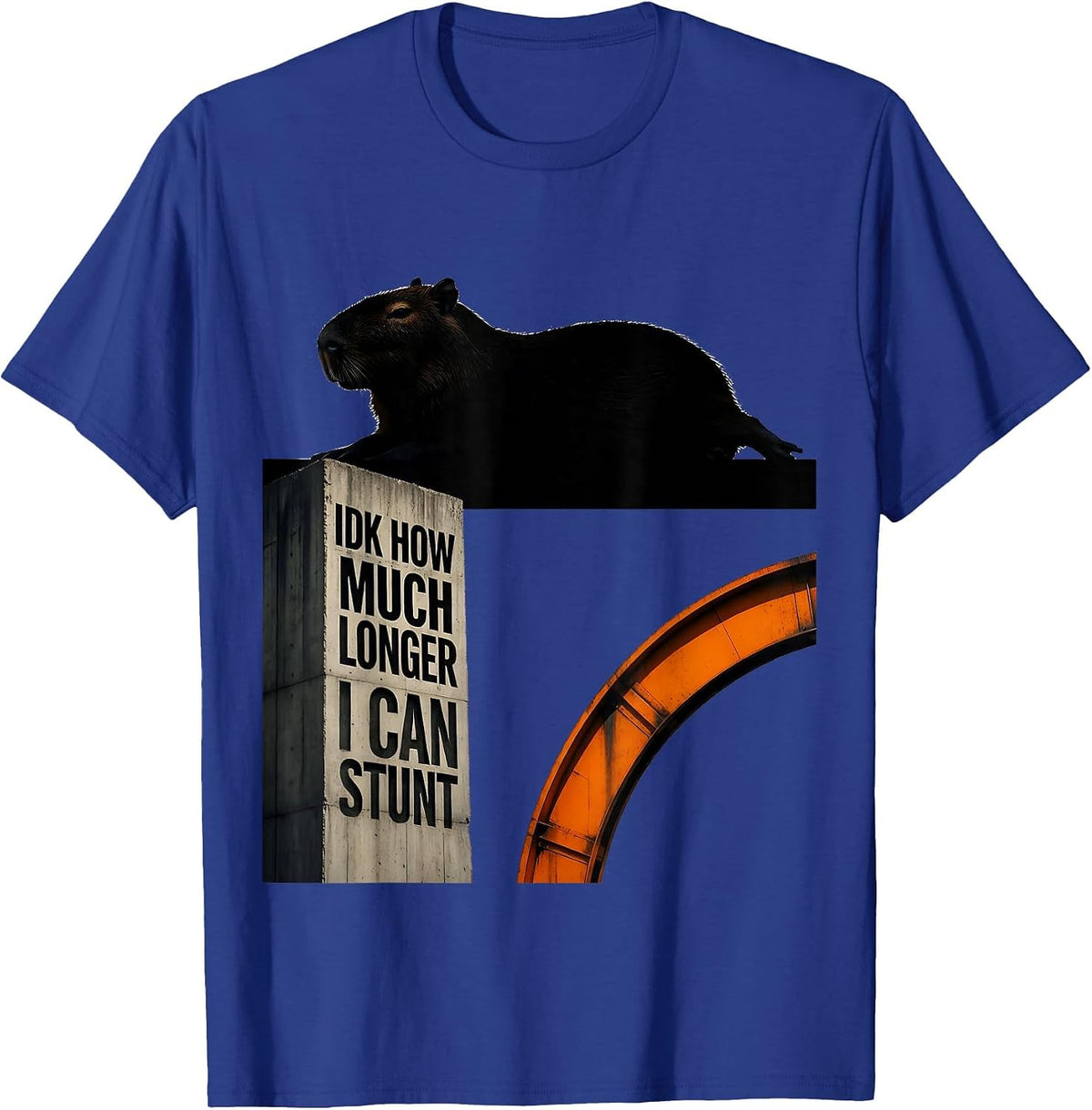 Idk How Much Longer I Can Stunt Funny Capybara Dank Meme T-Shirt - Royal Blue