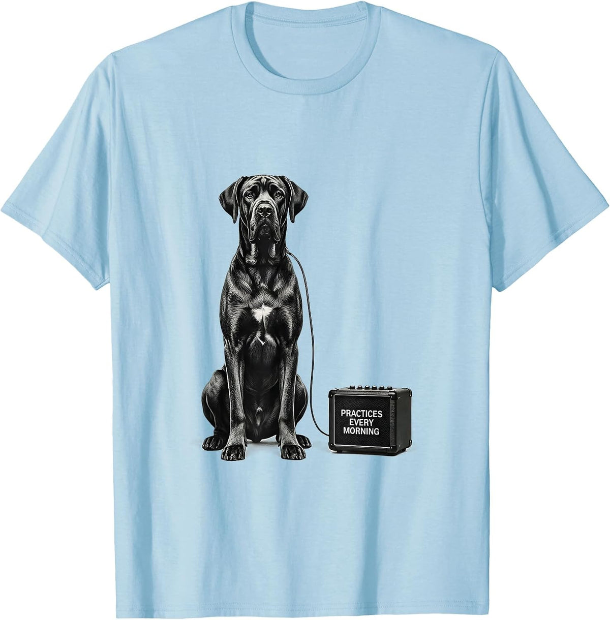 Men's Practices Every Morning Great Dane Rock Guitarist Dog Lover T-Shirt - Baby Blue